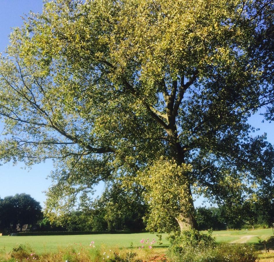 Vrijheid Van Gilze住宿加早餐旅馆 外观 照片